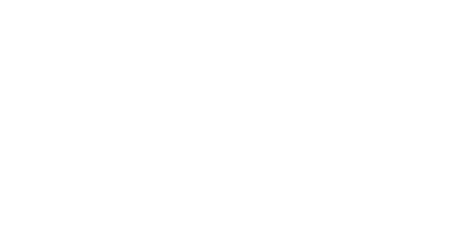Les 100 objets